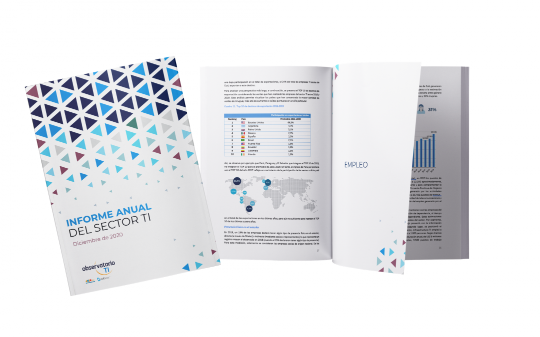Informe Anual del Sector TI datos 2019
